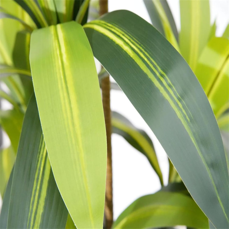 59.06cm Plant