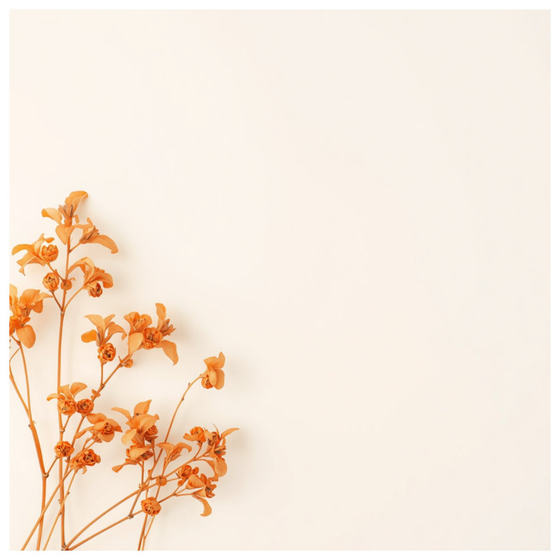 Couvertures de fleurs d'oranges séchées, L 50 po x H 60 po