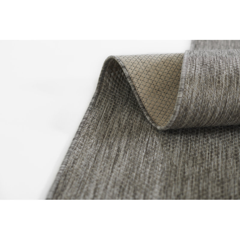 Tapis intérieur / extérieur gris Aseelah Vines, Rectangle 3 pi 11 po x 5 pi 7 po