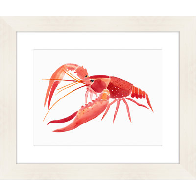 " Crayfish "