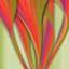 Paradise Print-39422120-69488517
