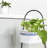 Vanmatre Plant Stand