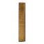 Cannondale Oriental Area Rug in Gold