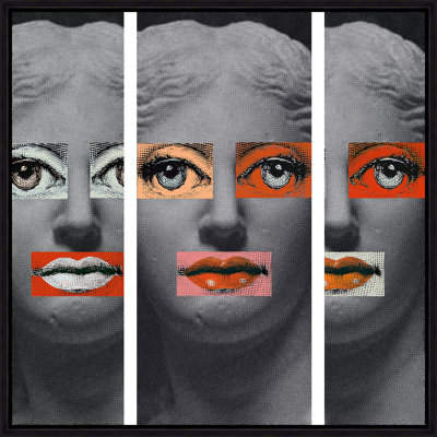 Venus Triptych II Print by Jeffrey Goodman