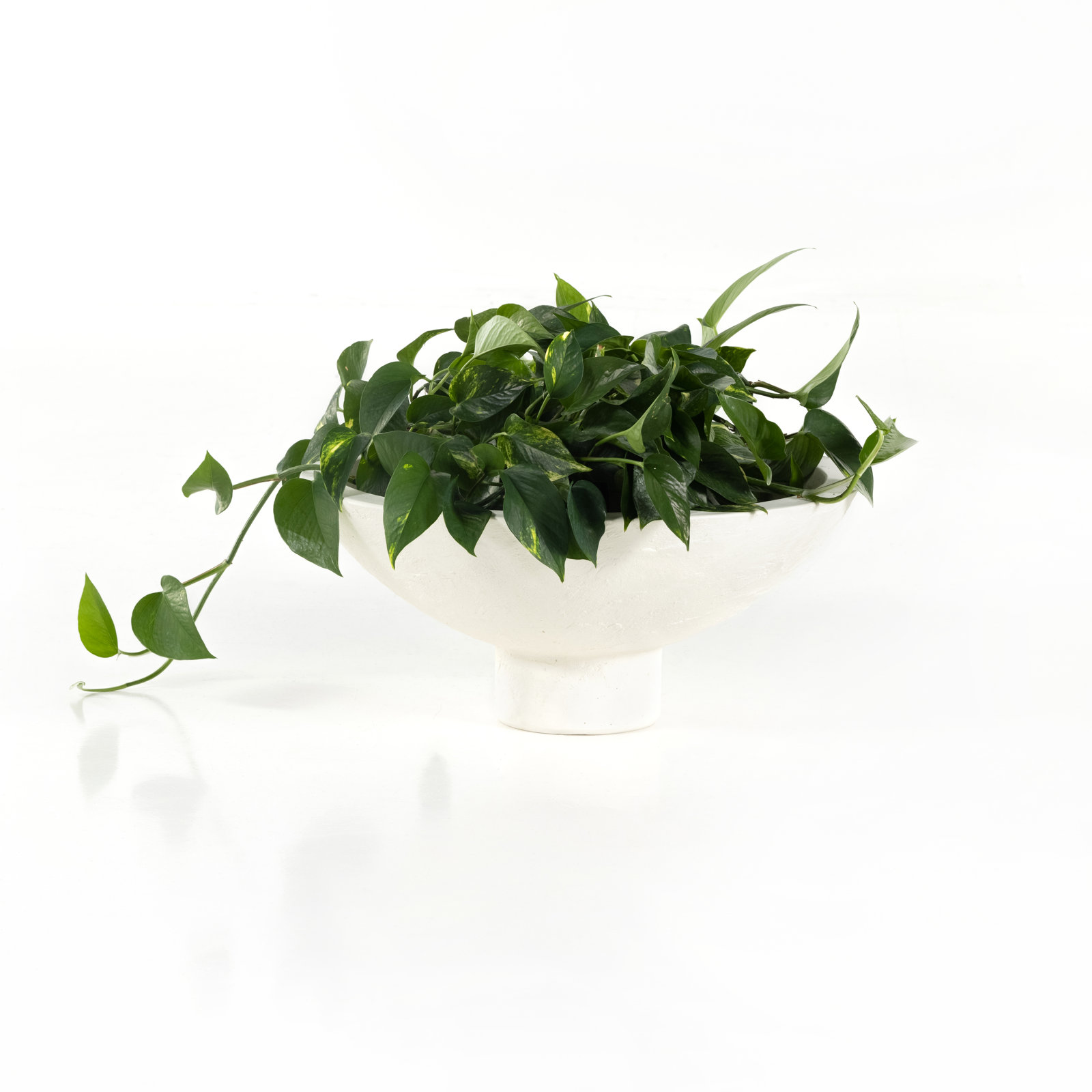Natale Pot Planter - Set of 2
