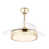 French Gold with Clear Blades