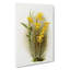 Magnolia Flowers Illustration Tab. 92 by Frederick Sander - Wrapped Canvas Print-55307781