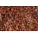 Orion Area Rug in Orange