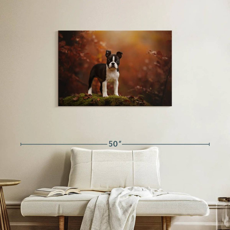 Bébé terrier de Boston, H 24 po x l 36 po