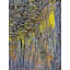 Millwood Pines Terrill, art sur toile tendue par Steve Gallery, OR, basalte colonne recouvert de lichen-828846665