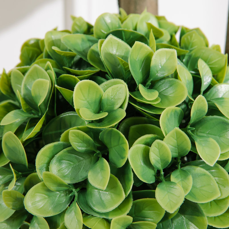 Topiaire faux buis en pot