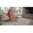 Premium Machine Washable Prisco Eggplant Rug-2100946487