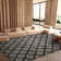 Trudie Shag Performance Geometric Rug