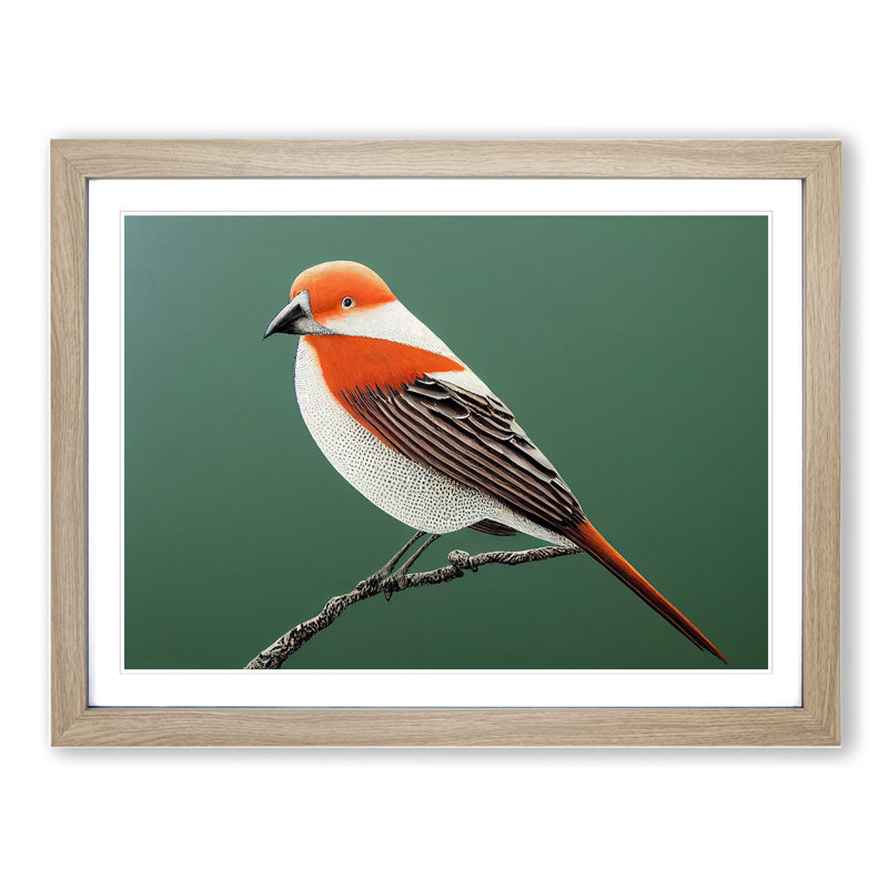 Engaging Bird - Single Picture Frame Print, 46cm H x 64cm W x 2cm D, Oak Framed