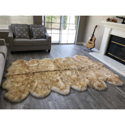 Tapis brun à poils longs Atterberry
