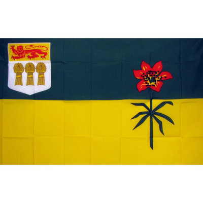 Double Sided 36'' H x 60'' W Polyester House Flag