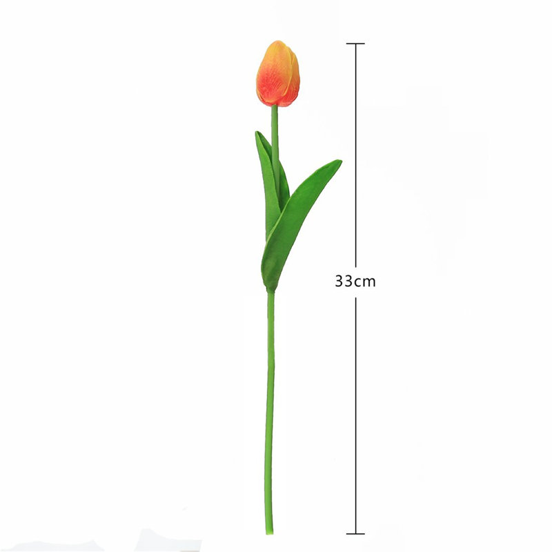 Tulip Arrangement