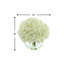 Hydrangea In Glass Vase