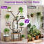 Support pour plante d'intérieur en métal 51 po avec lumière de croissance et télécommandes pour plantes multiples