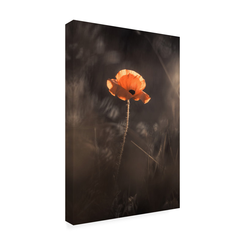 Art sur toile Fabien BRAVIN Le Flamboyant, H 19 po x l 12 po