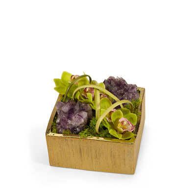 Orchid Arrangement in Planter