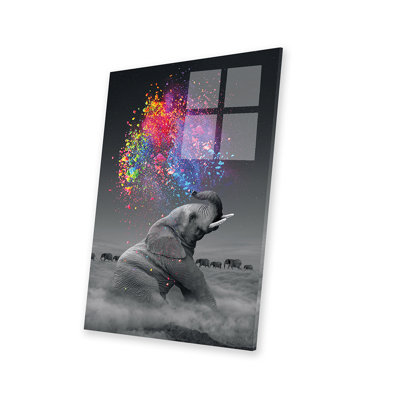 " Elephant - Colour Explosion " by Soaring Anchor Designs