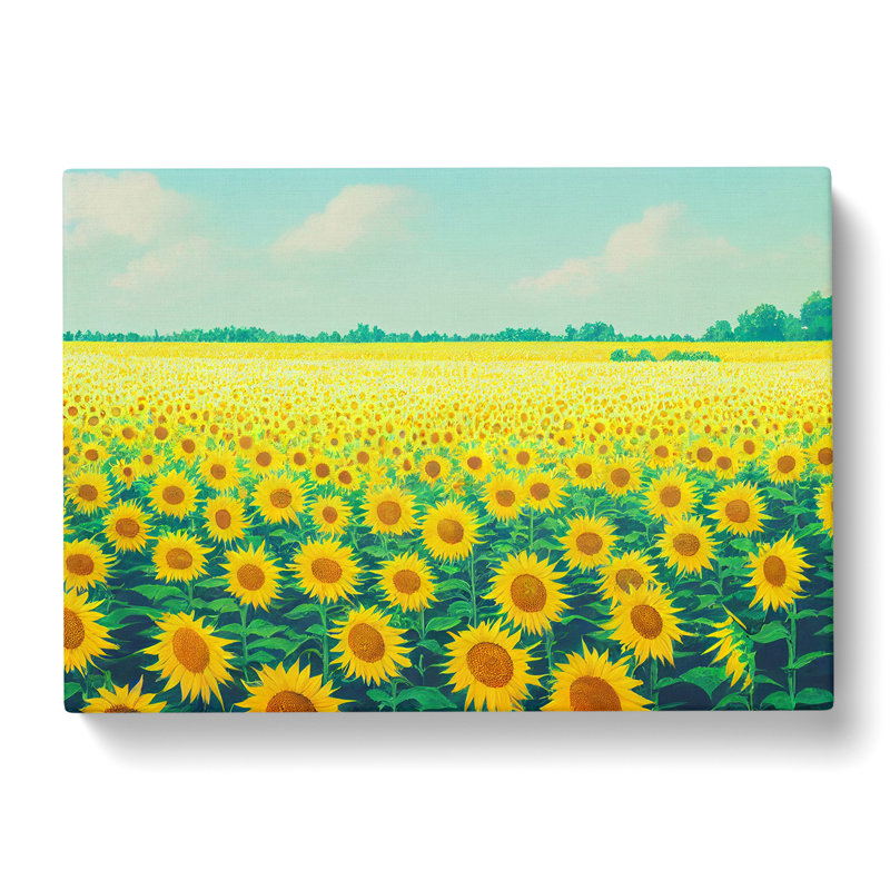 Fine Sunflower Field - Wrapped Canvas, 40cm H x 60cm W x 3cm D