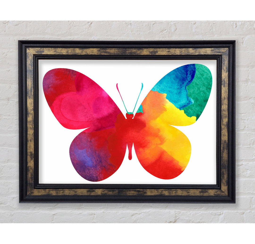 Regenbogen Schmetterling - Druck