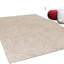 Tapis ivoire en laine 2 pi x 4 pi
