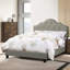 Modern Bed, Arch 1Pc Bed-114230870