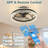 16" Modern LED Ceiling Fan with Light, Dimmable & Adjustable CCT, Crystal Design, Invisible Blades, Quiet Motor, Remote & APP Control, Timing Function, Black