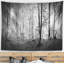 Tapisserie panorama paysage belle forest matinée-28494544