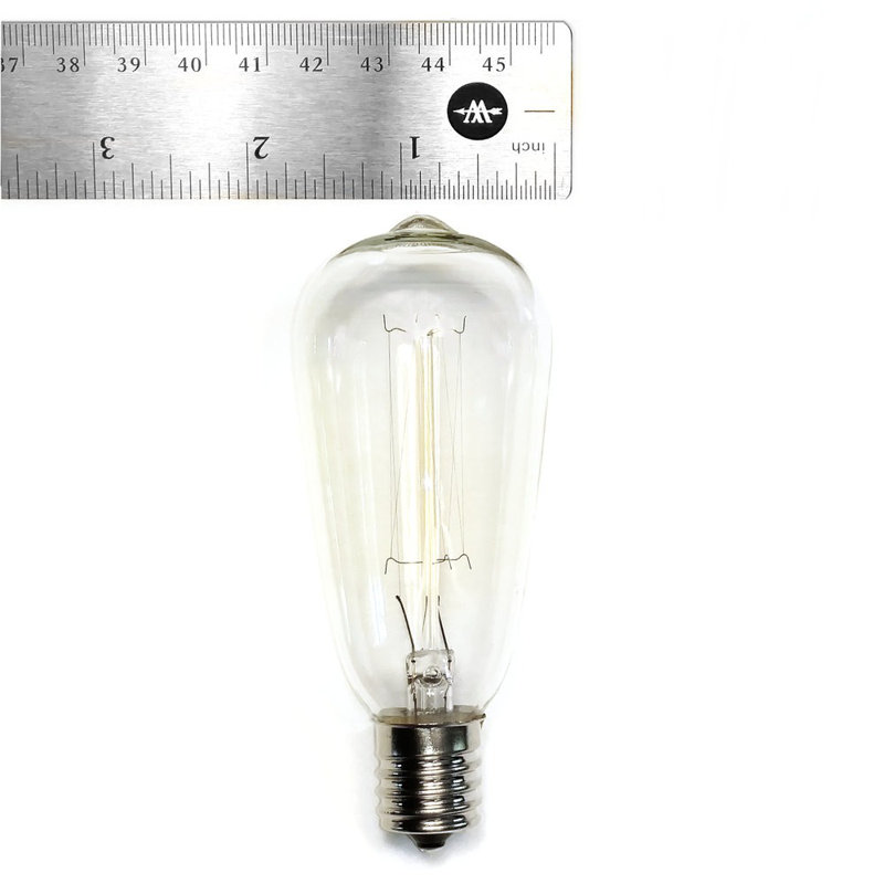 Edison String Lights Outdoor Plug-in String Light, Black, 1200" L
