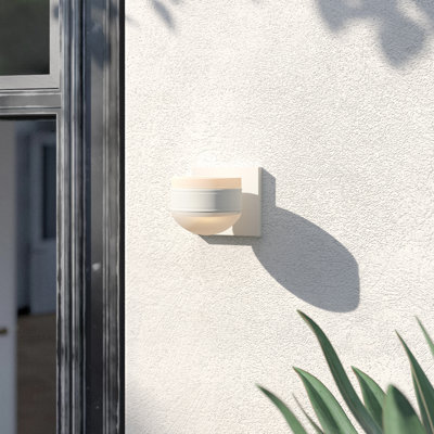 Dale LED Wall Light
