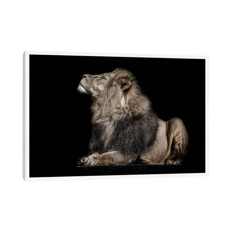 Ignorance by Paul Neville - Gallery-Wrapped Canvas Giclée on Canvas, 66.04 cm H x 45.72 cm W, White Floater Frame