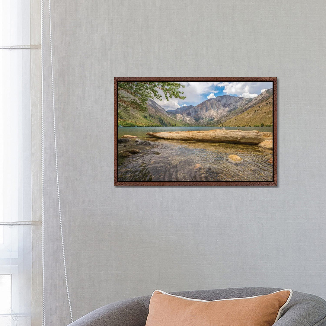 Gefallener Baum am Convict Lake von Joseph S. Giacalone - Galerie-verpackte Leinwand Giclée