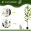 Olive artificielle en pot 6 pi Primrue