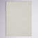 Athira Machine Woven Cream Area Rug