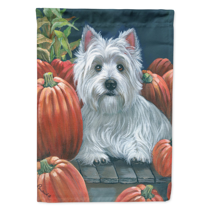 Drapeau de maison Hvidovre Sheltie Halloween en polyester à 2 faces 3 x 2 pi, Westie citrouilles