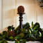 Guirlande ou chemin de table Seeded Silver Dollar & Needleleaf Eucalyptus-588677824