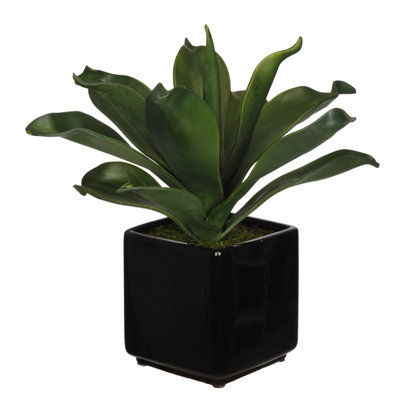 15'' Faux Succulent in Ceramic Vase