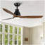 Ventilateur de plafond noir 52 pouces avec lumière DEL