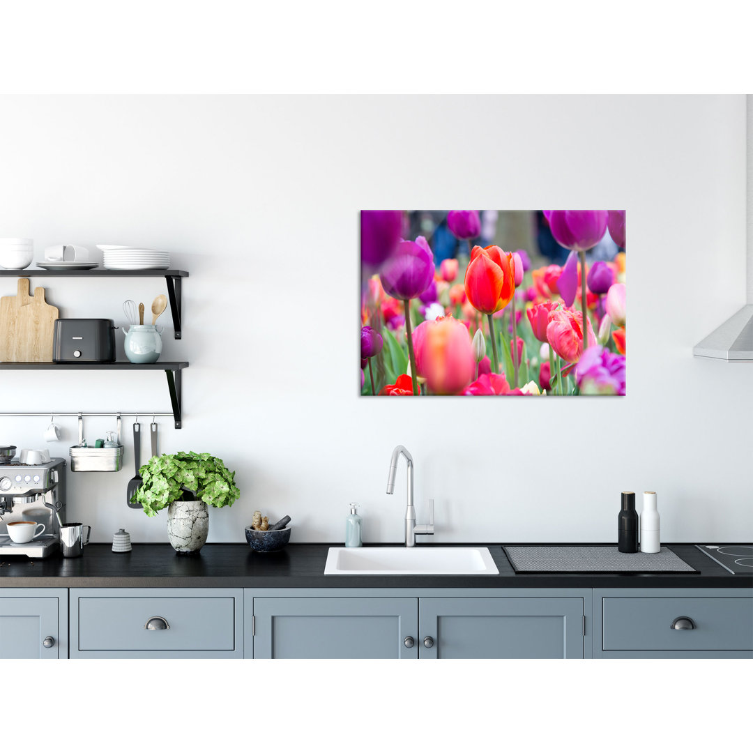 Glasbild Bunte Holländische Tulpen