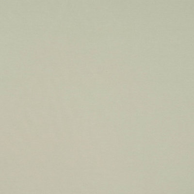 Raphael Fabric