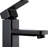 Naiadi Single-Hole Single-handle Bathroom Faucet-29547852