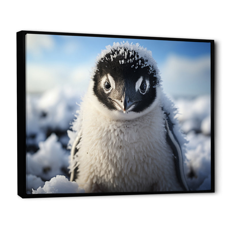 Pingouin adorable pingouin I sur toile, H 16 po x l 32 po x P 1 po, Cadre flottant noir