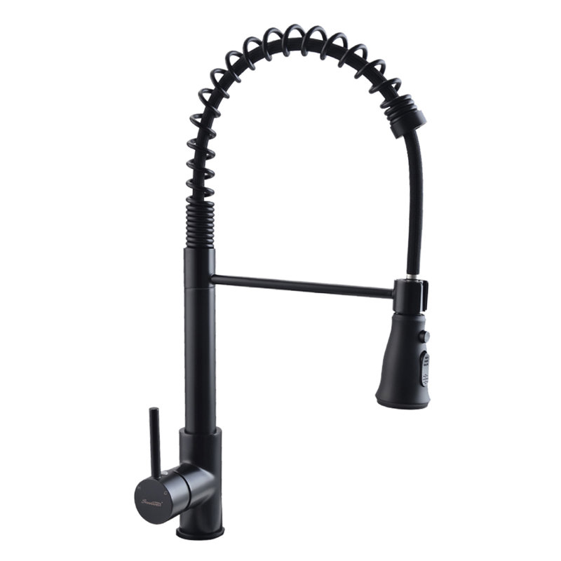 SHAMANDA Pull Down Kitchen Faucet