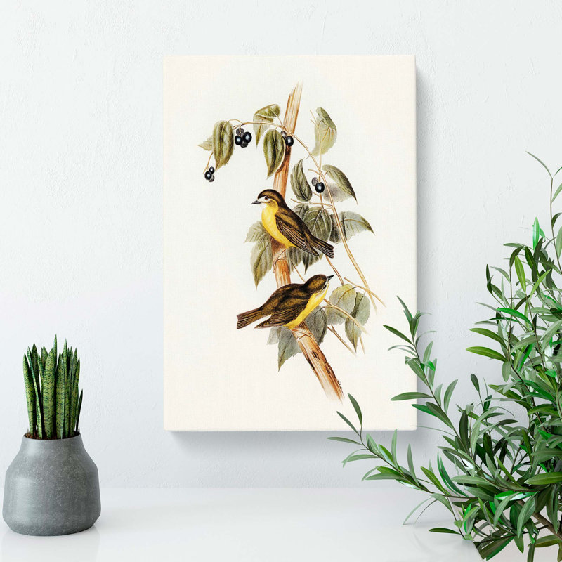 Large-Headed Robins by Elizabeth Gould - Wrapped Canvas Print, 60cm H x 40cm W x 3cm D