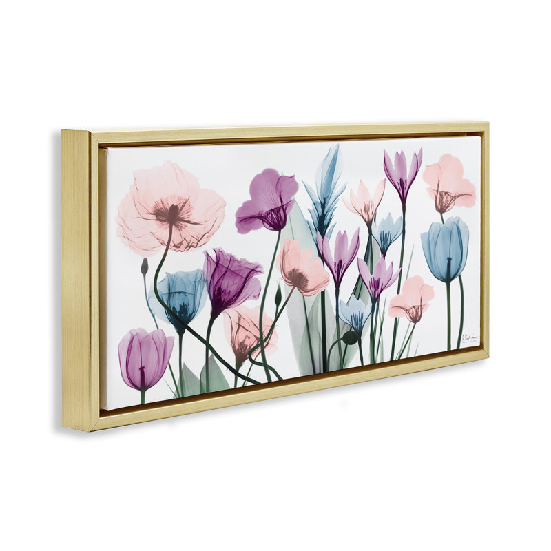 Tulipes modernes translucides pastel, H 11 po x l 25 po, Cadre flottant métallique doré