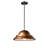 1 - Light Dome Pendant-79018748-106259061-117871643